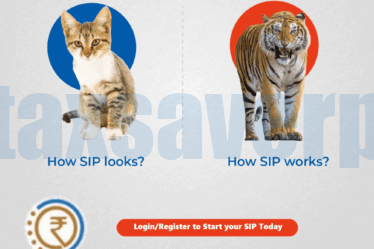 SIP works like a Tiger | www.taxsaverplus.in