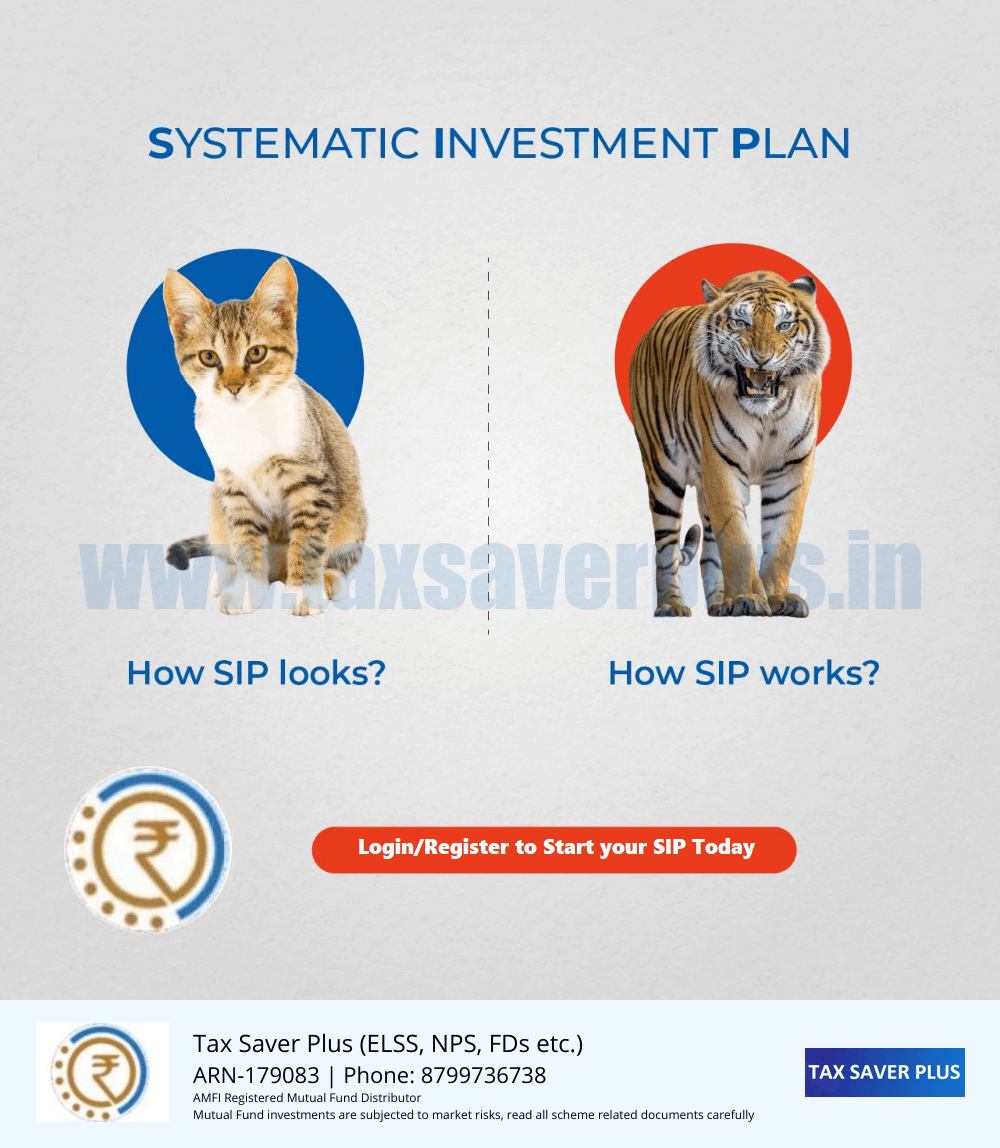 SIP works like a Tiger | www.taxsaverplus.in